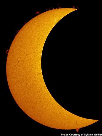 �D�ģ�2005����ȫʳ���ʈDƬ