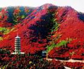 ��(j��)�ϼt�~�����B(t��i)�Ļ����΅^(q��)
