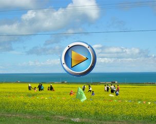 �ຣ�����z������ε�{����(�D)