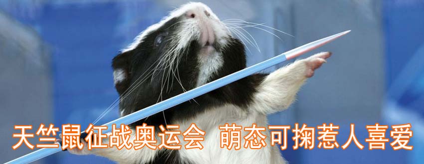 ����������(zh��n)�W�\(y��n)��(hu��) �ȑB(t��i)��������ϲ��(��i)