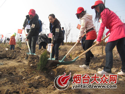 ���_�W���R����