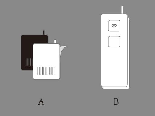 С�����������