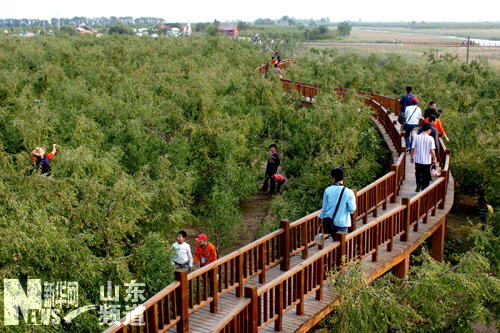 �c(di��n)���鿴��һ�