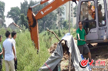 ꐌ��ɳ����Ƶ�����ֹ�����񾯿�ǰ��