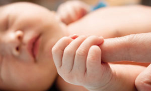 �������M�Y�����������Ĳ���