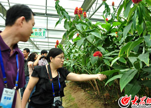 �Ꭷ���֡����M��ѩҰ