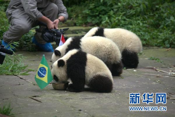 �����籭������؈�A(y��)�y���籭��������С������㿴�����䱾��ͬ�}���ָ壩
