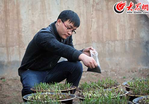 ��W�����l�N�²� �����B�r�I׌�r����w��