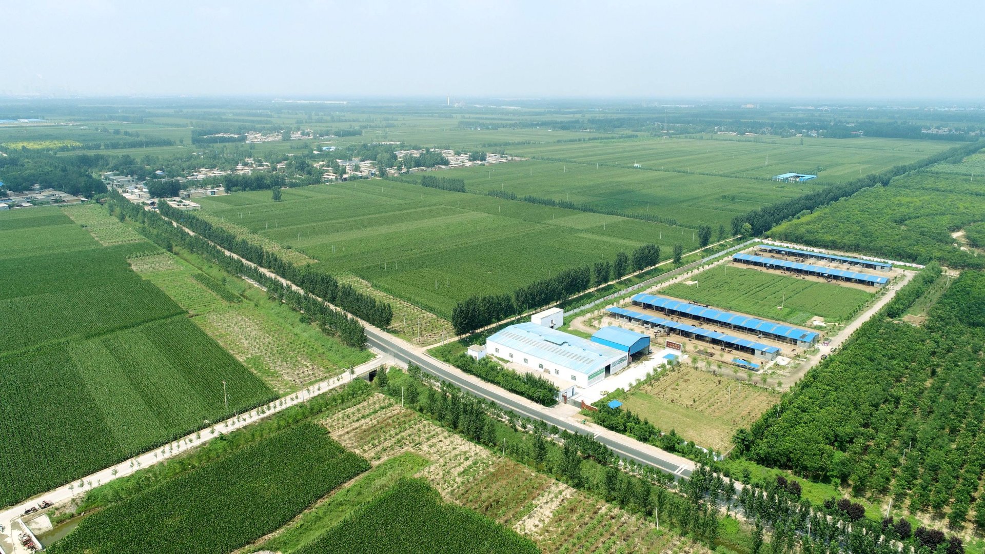 2017��8��24�գ����ĵ�ɽ�|ʡ��ƽ�ֺ����@����С�(zh��n)�� (1).JPG