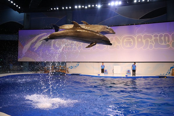 ���ʵĺ������