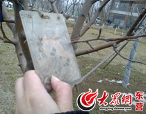 �W�����eҪ���X�I���Իژ䡱 ؟���˱�̎��