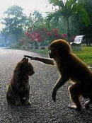 �^������Ц��ͣ��Ȥ�D