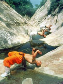 ��������ɮ��Ҋ������