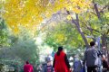 2018��10��23�գ�����Ȫ�ǹ��@��(n��i)��ɫ���⣬�S�����~�ѽ�(j��ng)׃�ɽ��Sɫ��