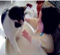 }IKN1@NJS]B%~3KKY([D~F7.jpg
