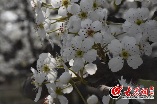 �(y��ng)�ſh��28���滨��(hu��)�y��������(ji��)����4��7���_Ļ