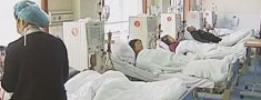 ��īѪ�������Є� ��������ϣ��