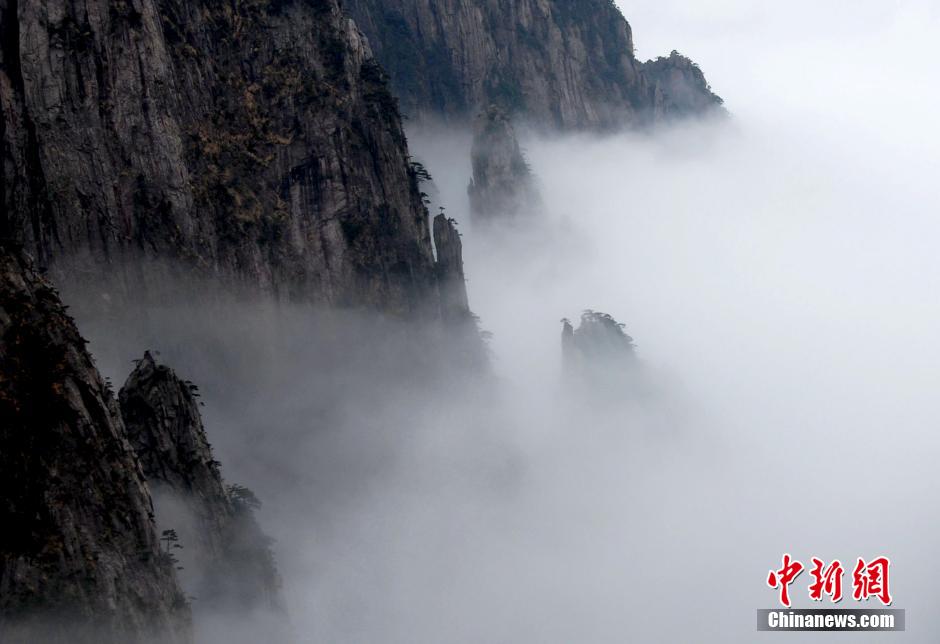 2��4�գ����������� �ܱ�����՚�Ӱ푣������Sɽ�L���^��ֹ�Dꎣ����F���R���׈����^���˵��ƺ���ɫ��������l ��Ҳ�V�� �z.jpg