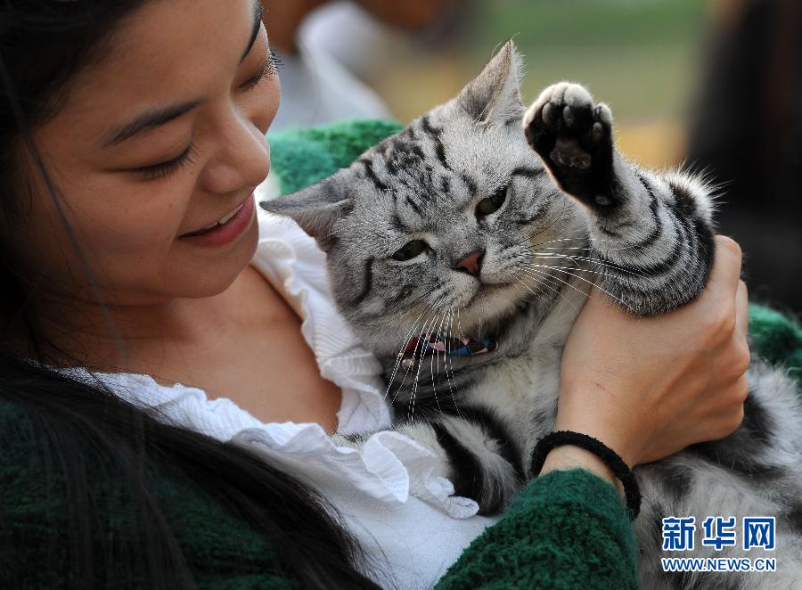 10��5�գ�һֻ����؈���^�������к�����