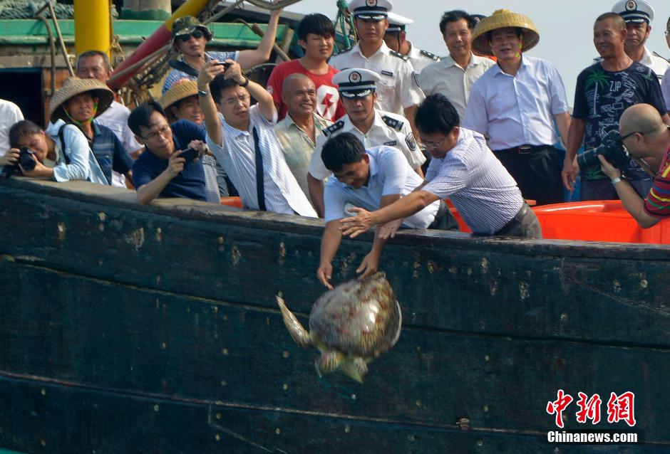 5��9�գ�����ʡ������̶�T���Ҽ����ĝO���e�С����o�������B(t��i)�����˅��c�o�{(l��n)����ӆ��Ӄxʽ��������20��ֻ������