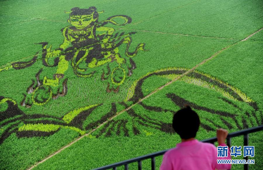 7��1�գ�һλ���^�������p���顶��߸�[�����ľ��͵��ﮋ(hu��)��