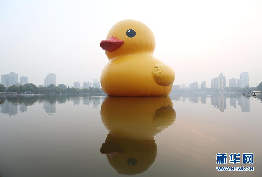 10��20�գ������S����Ư�����Ͼ�Ī����ϡ����գ��ɺ��mˇ�g�һ������OӋ�����桰���S���������Ͼ�Ī������c����Ҋ�档 ���A��l������ �z��