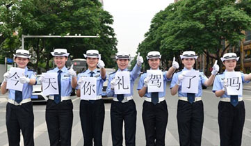 ���{���������ĺ���܇�v�Y׌����