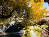 �D2����һ�N�����Н��ϵ����졣���󱊾W(w��ng)-ɽ�|24С�rӛ�����ɺ��.jpg