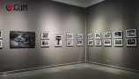 TIM�؈D20181114224449.jpg